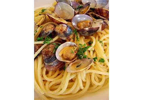 Seafood Galore