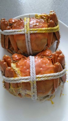 Fresh Crabs